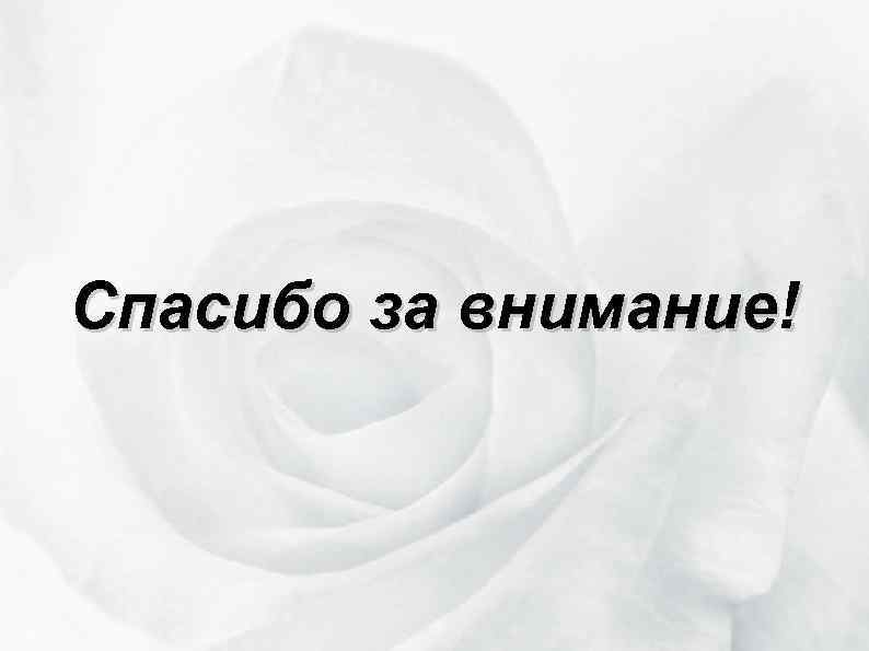Спасибо за внимание! 