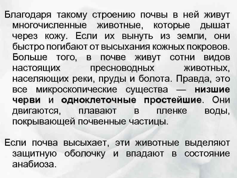 Благодаря такому строению почвы в ней живут многочисленные животные, которые дышат через кожу. Если