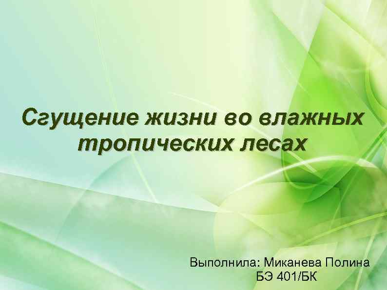 Сгущение жизни во влажных тропических лесах Выполнила: Миканева Полина БЭ 401/БК 