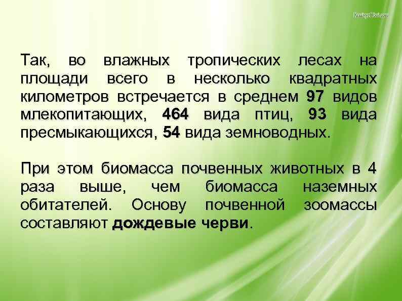 Так, во влажных тропических лесах на площади всего в несколько квадратных километров встречается в