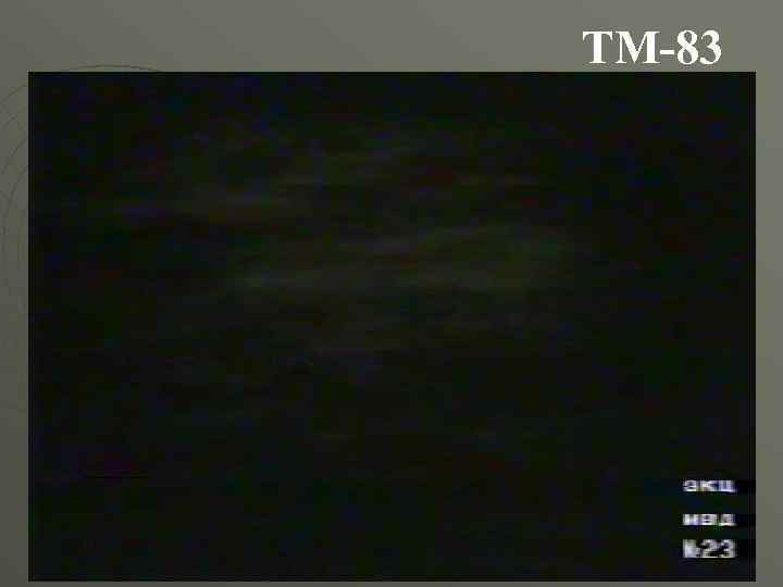 ТМ-83 