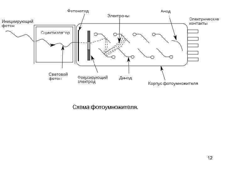 Схема фотоумножителя. 12 
