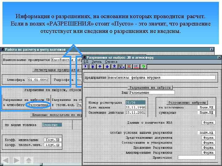Информация о разрешениях, на основании которых проводится расчет. Если в полях «РАЗРЕШЕНИЯ» стоит «Пусто»
