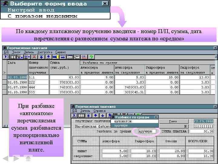 По каждому платежному поручению вводятся - номер П/П, сумма, дата перечисления с разнесением суммы