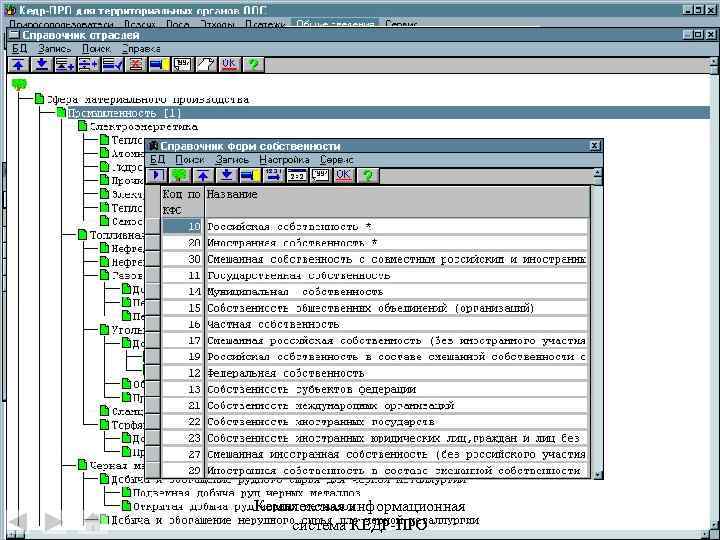 Общие сведения об организациях для заполнения адресной части выходных документов Комплексная информационная система КЕДР-ПРО