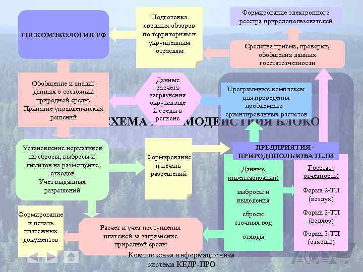 ГОСКОМЭКОЛОГИИ РФ Обобщение и анализ данных о состоянии природной среды. Принятие управленчиских решений Формирование