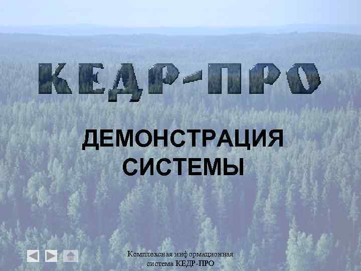 ДЕМОНСТРАЦИЯ СИСТЕМЫ Комплексная информационная система КЕДР-ПРО 