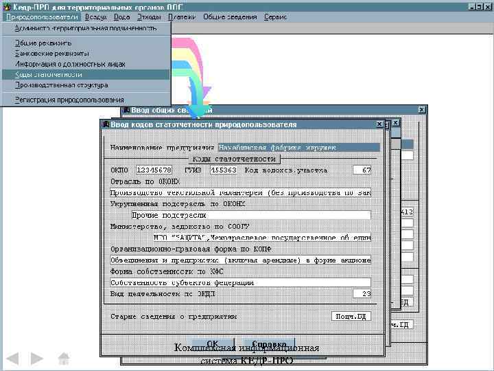 Комплексная информационная система КЕДР-ПРО 