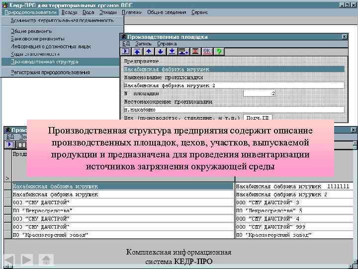 Производственная структура предприятия содержит описание производственных площадок, цехов, участков, выпускаемой продукции и предназначена для