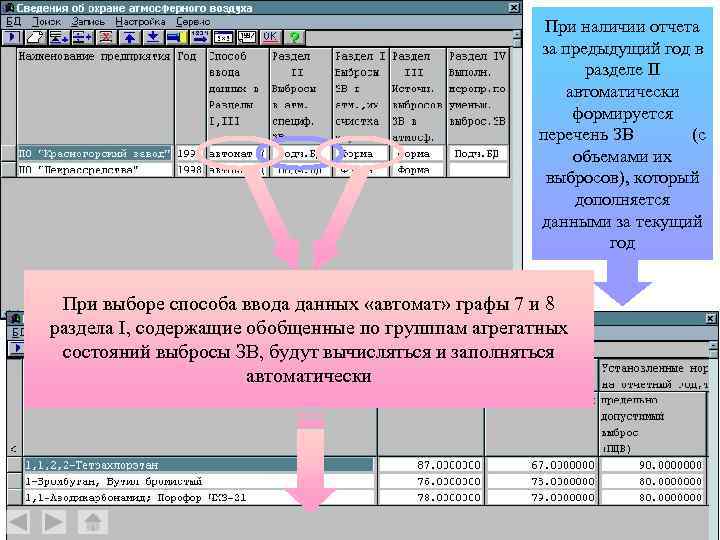 При наличии отчета за предыдущий год в разделе II автоматически формируется перечень ЗВ (с