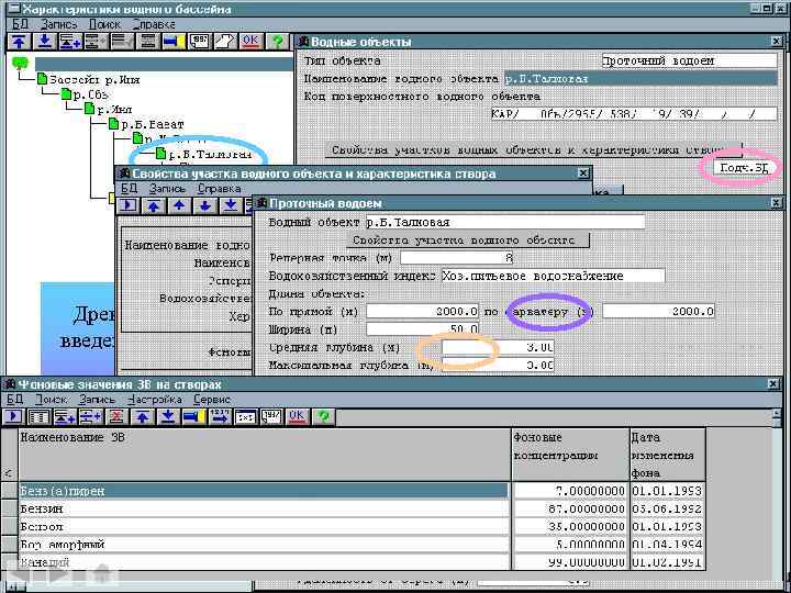 Древовидная форма структуры водного бассейна предназначена для введения общей характеристики водных объектов региона, на