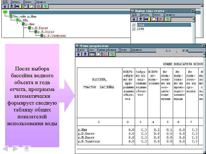 После выбора бассейна водного объекта и года отчета, программа автоматически формирует сводную таблицу общих