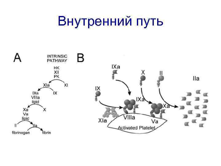Внутренний путь 