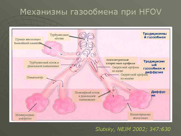  Механизмы газообмена при HFOV Турбулентные Традиционны потоки й газообмен Прямая вентиляция ближайшей альвеолы