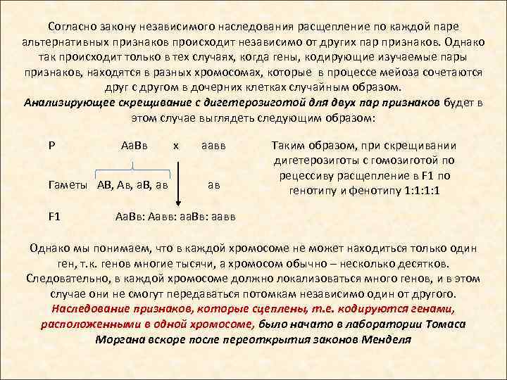 Согласно закону независимого наследования расщепление по каждой паре альтернативных признаков происходит независимо от других