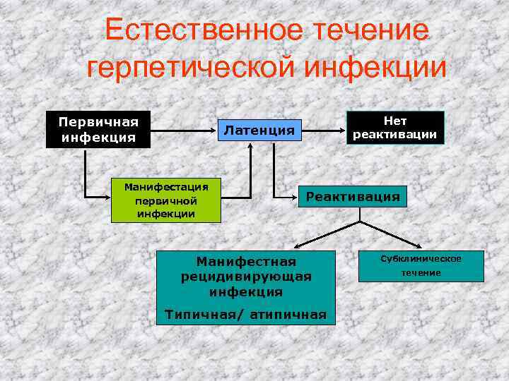 Естественного течения. Причины реактивации герпетической инфекции. Причинами реактивации герпетической инфекции могут служить. Течение герпетической инфекции. Причинами реактивации герпетической инфекции могут являться.