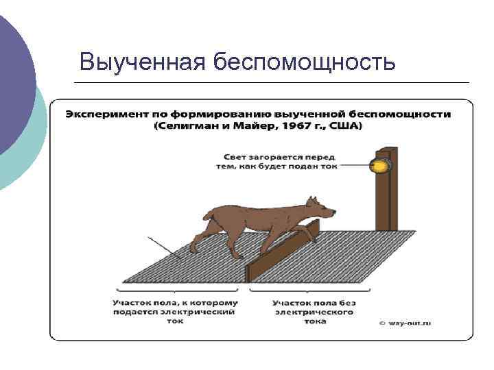 Выученная беспомощность 