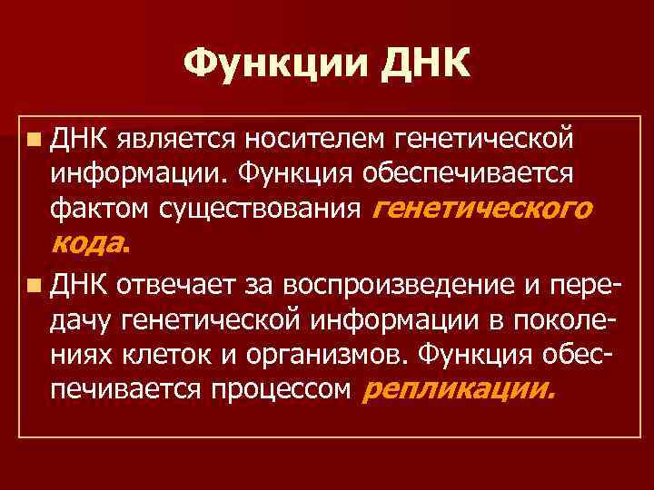 Функции днк