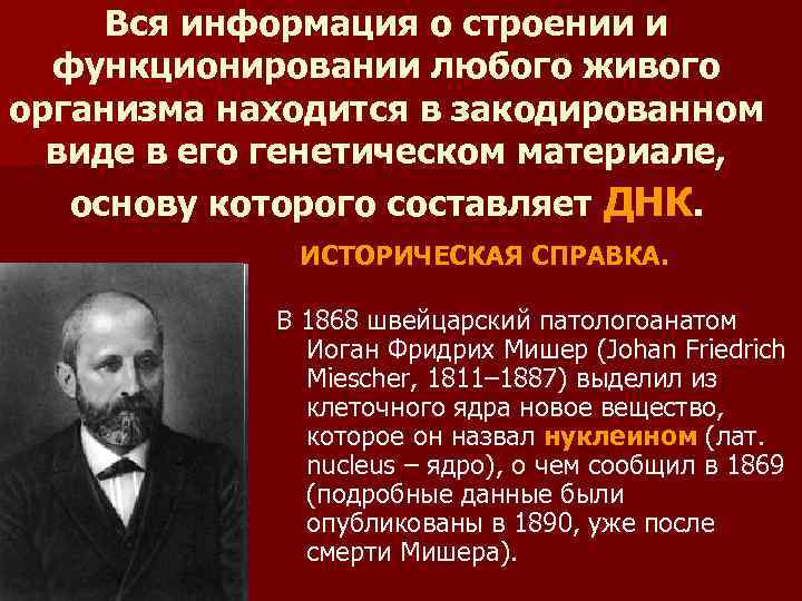 Вся информация о строении и функционировании любого живого организма находится в закодированном виде в