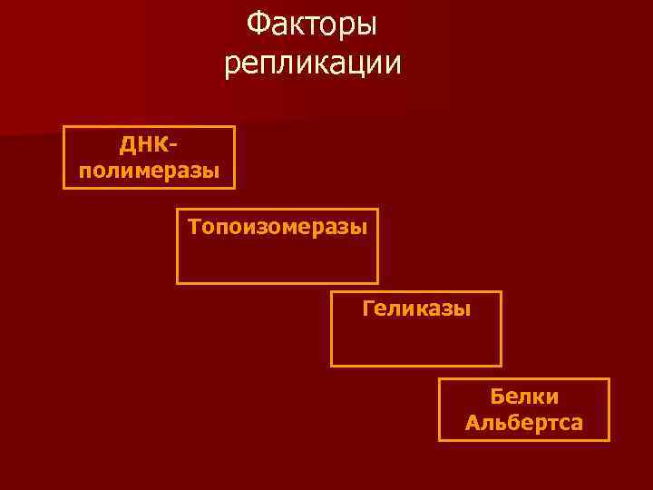 Факторы репликации ДНКполимеразы Топоизомеразы Геликазы Белки Альбертса 