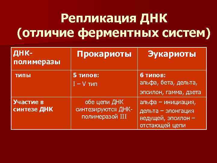 Репликация ДНК (отличие ферментных систем) ДНКполимеразы типы Участие в синтезе ДНК Прокариоты 5 типов: