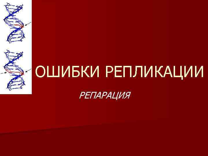 ОШИБКИ РЕПЛИКАЦИИ РЕПАРАЦИЯ 