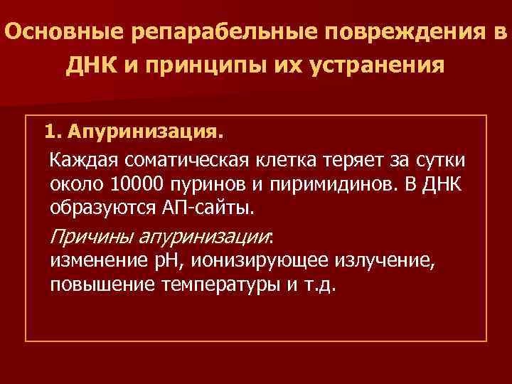 Основные репарабельные повреждения в ДНК и принципы их устранения 1. Апуринизация. Каждая соматическая клетка