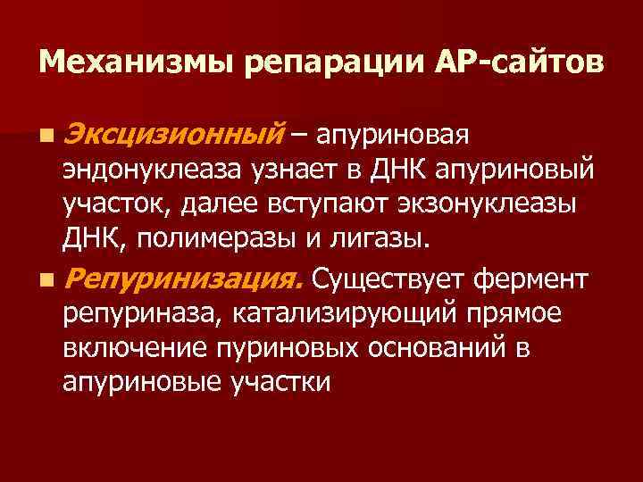 Механизмы репарации АР-сайтов n Эксцизионный – апуриновая эндонуклеаза узнает в ДНК апуриновый участок, далее