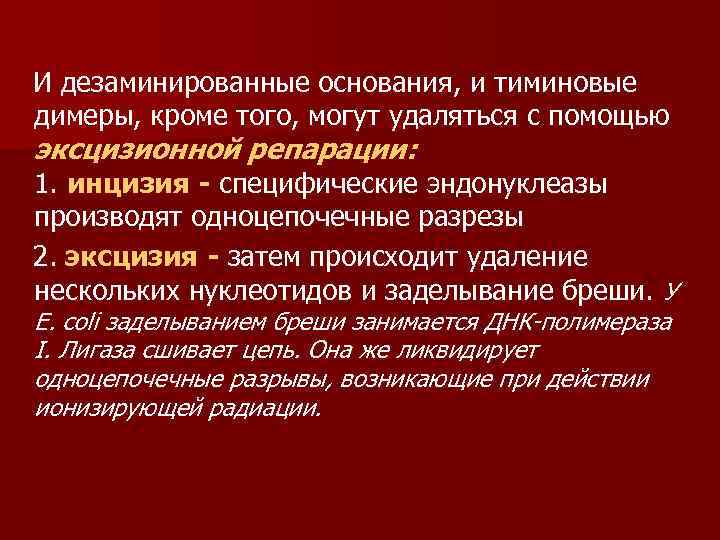  И дезаминированные основания, и тиминовые димеры, кроме того, могут удаляться с помощью эксцизионной