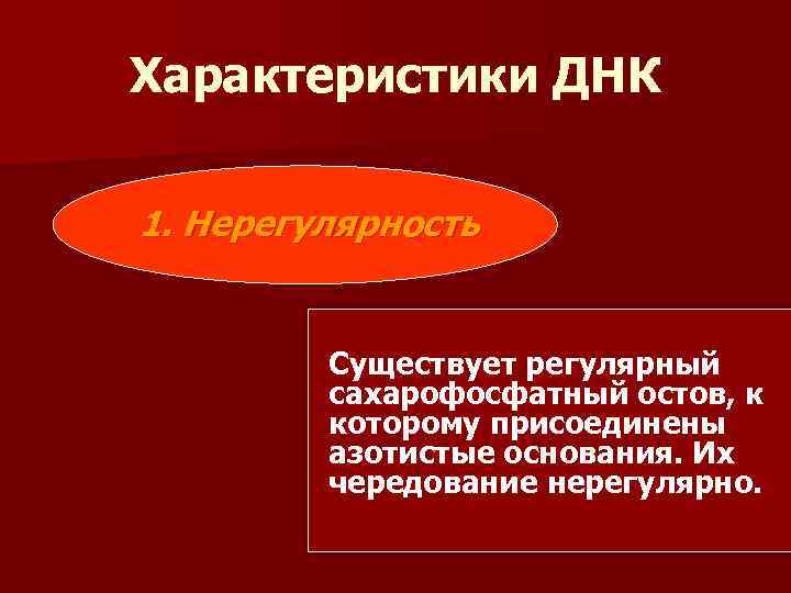 Характеристики ДНК 1. Нерегулярность Существует регулярный сахарофосфатный остов, к которому присоединены азотистые основания. Их