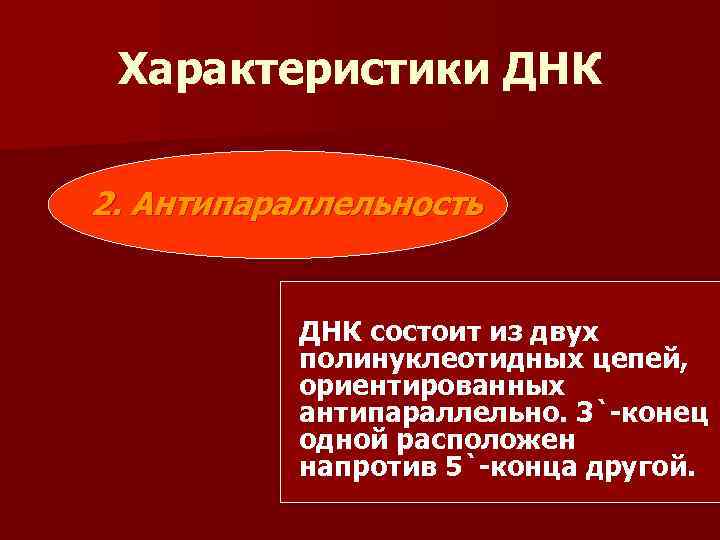 Характеристики ДНК 2. Антипараллельность ДНК состоит из двух полинуклеотидных цепей, ориентированных антипараллельно. 3`-конец одной