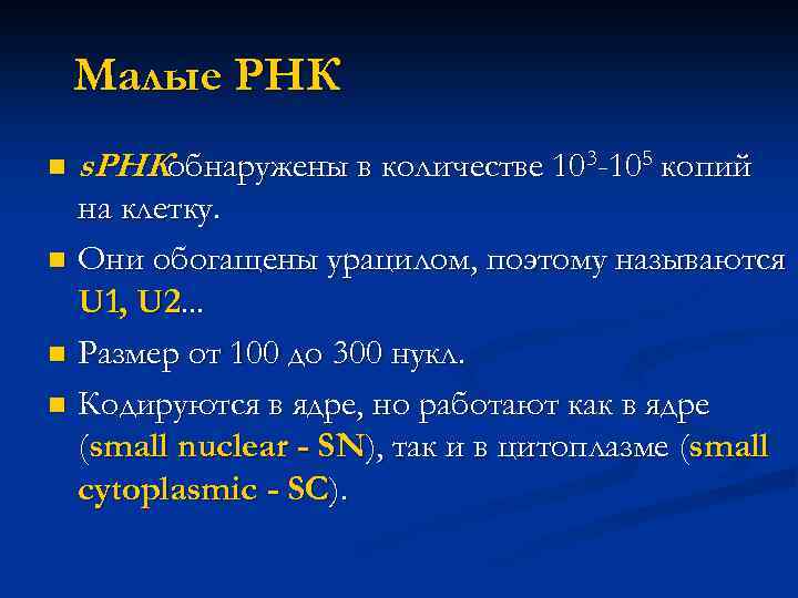 Малые РНК n s. РНКобнаружены в количестве 103 -105 копий на клетку. n Они