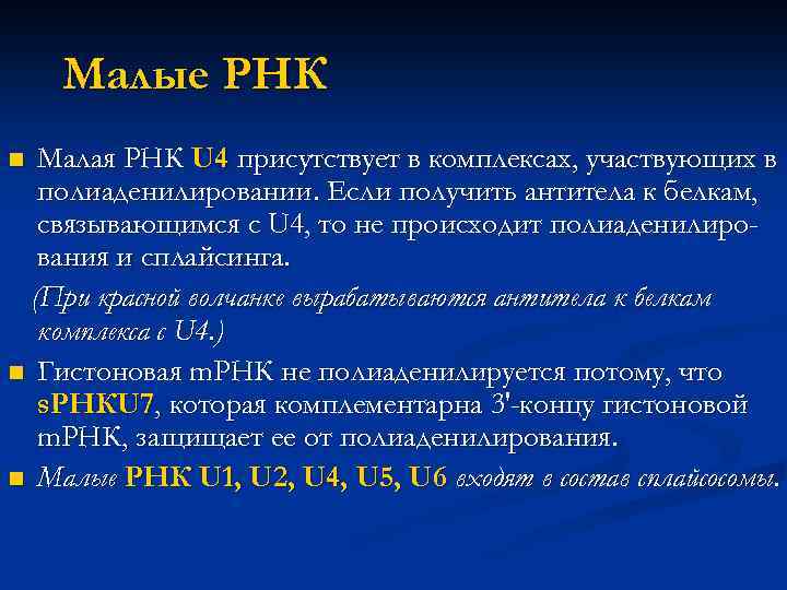 Малые РНК Малая РНК U 4 присутствует в комплексах, участвующих в полиаденилировании. Если получить
