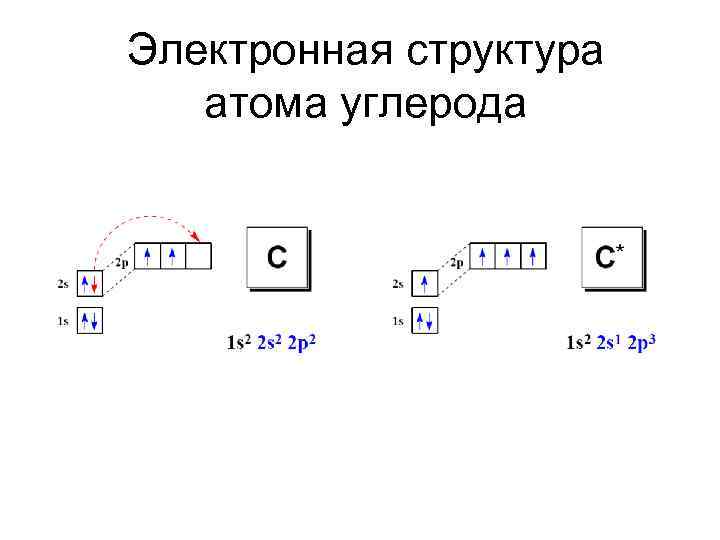 Электронная структура атома углерода 