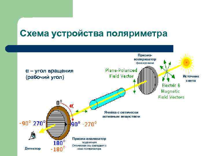 Изобразите оптическую схему поляриметра