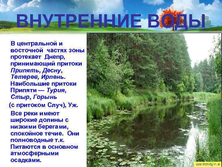ОЗЁРА На территории Полесья –  самое большое в Украине  количество природных озер.