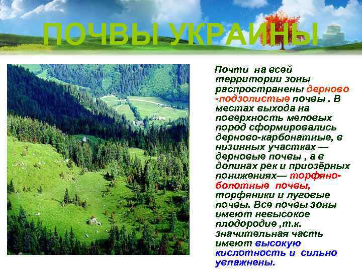 Ха рактерной чертой территории  является её заболоченность. Боль  ше всего болота р