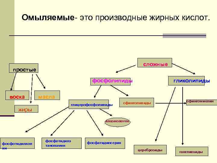 Некоторые изопреноиды играют важную роль в метаболизме, но не могут синтезироваться в организме человека.