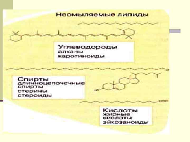 1. От ацетил-Ко. А основной путь биосинтеза ведет к активированным жирным кислотам, из которых