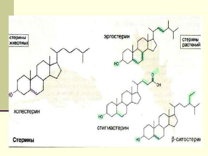Основной фермент, осуществляющий гидролиз жиров- панкреатическая липаза, активируемая желчными кислотами. Активирующее влияние этих кислот