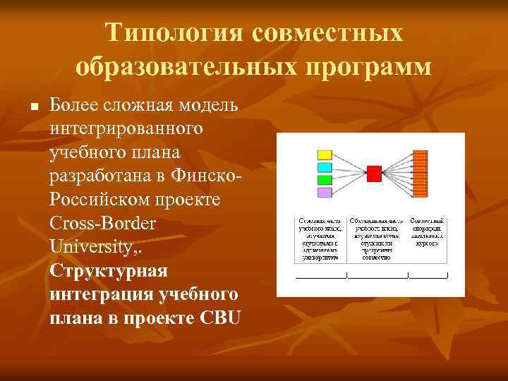 Типология совместных образовательных программ n Более сложная модель интегрированного учебного плана разработана в Финско.