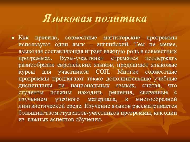 Языковая политика n Как правило, совместные магистерские программы используют один язык – английский. Тем