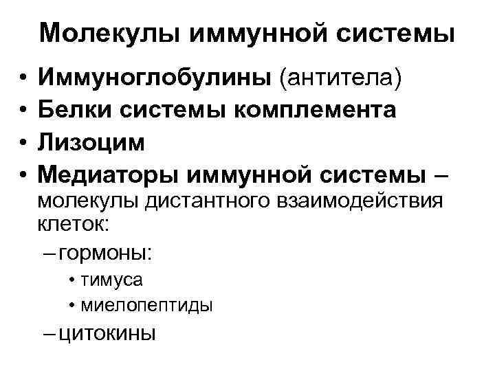 Молекулы иммунной системы • • Иммуноглобулины (антитела) Белки системы комплемента Лизоцим Медиаторы иммунной системы