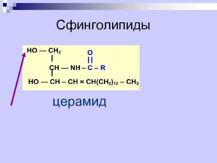 Сфинголипиды церамид 