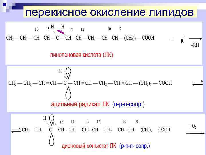 Последствия перекисного окисления липидов