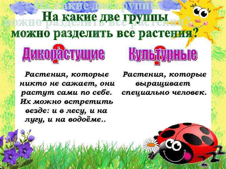 Растения, которые никто не сажает, они выращивает растут сами по себе. специально человек. Их