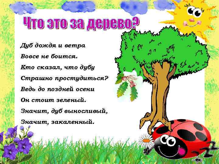 Дуб дождя и ветра Вовсе не боится. Кто сказал, что дубу Страшно простудиться? Ведь