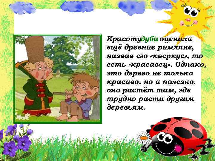 Красотудуба оценили ещё древние римляне, назвав его «кверкус» , то есть «красавец» . Однако,
