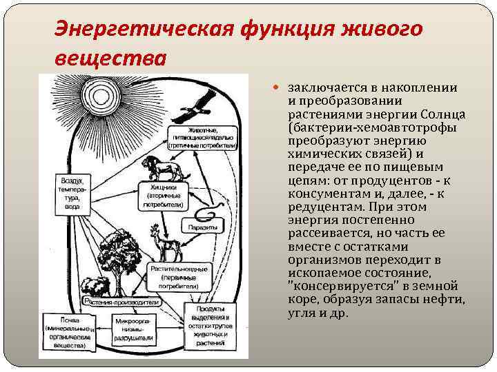 Эксперимент биосфера 2 ход его реализации и основные результаты