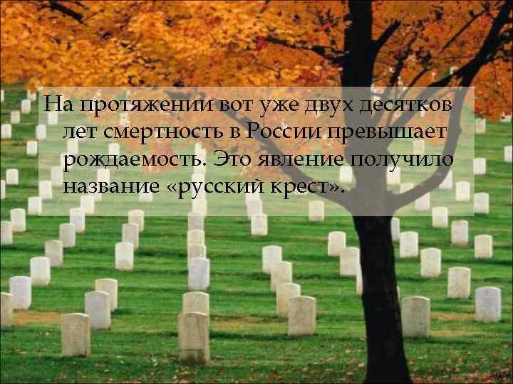 На протяжении вот уже двух десятков лет смертность в России превышает рождаемость. Это явление